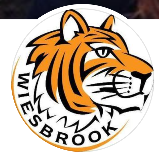 Wiesbrook Elementary Spirit Wear by Kristine