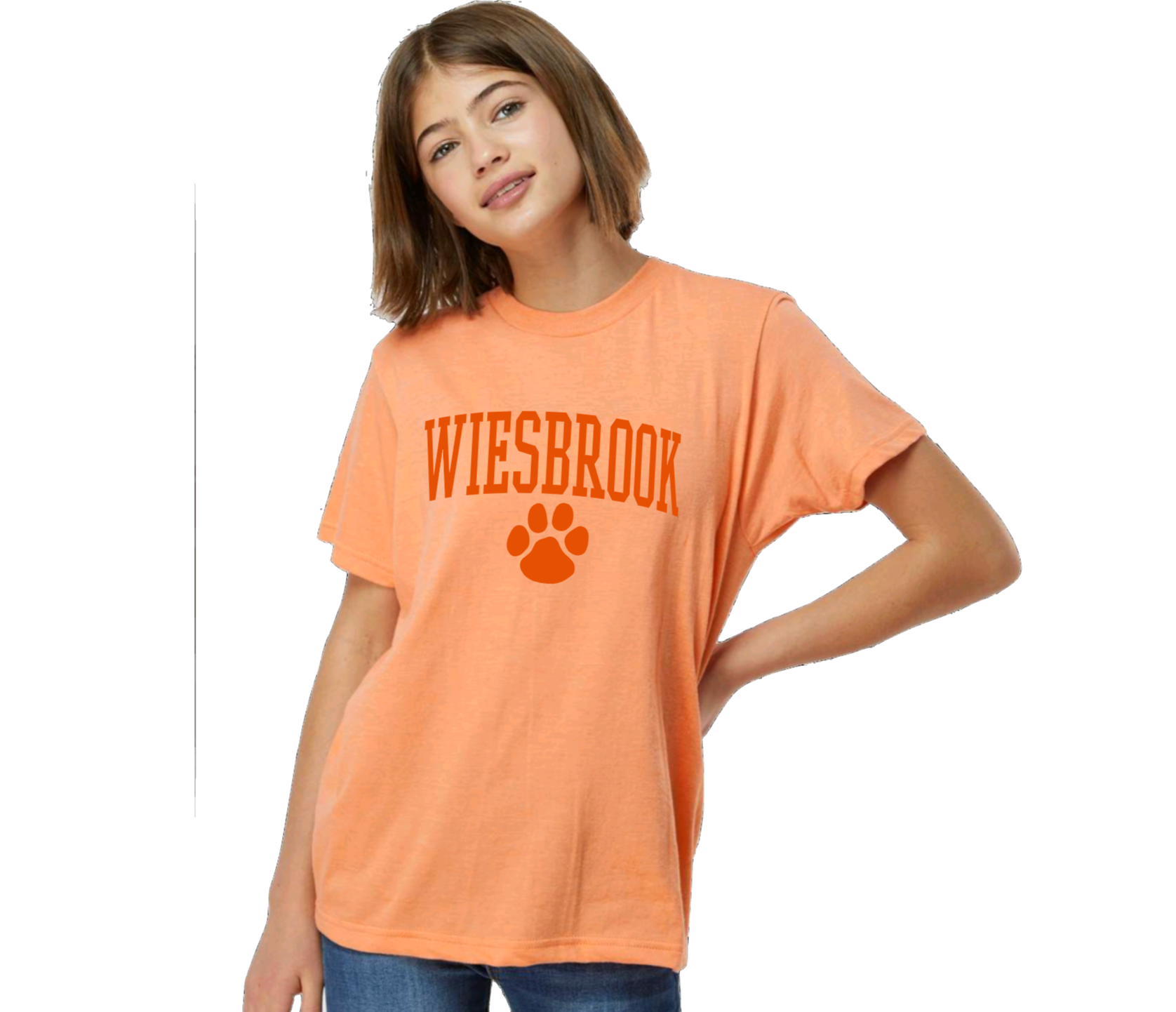 Wiesbrook Elementary Spirit Wear by Kristine
